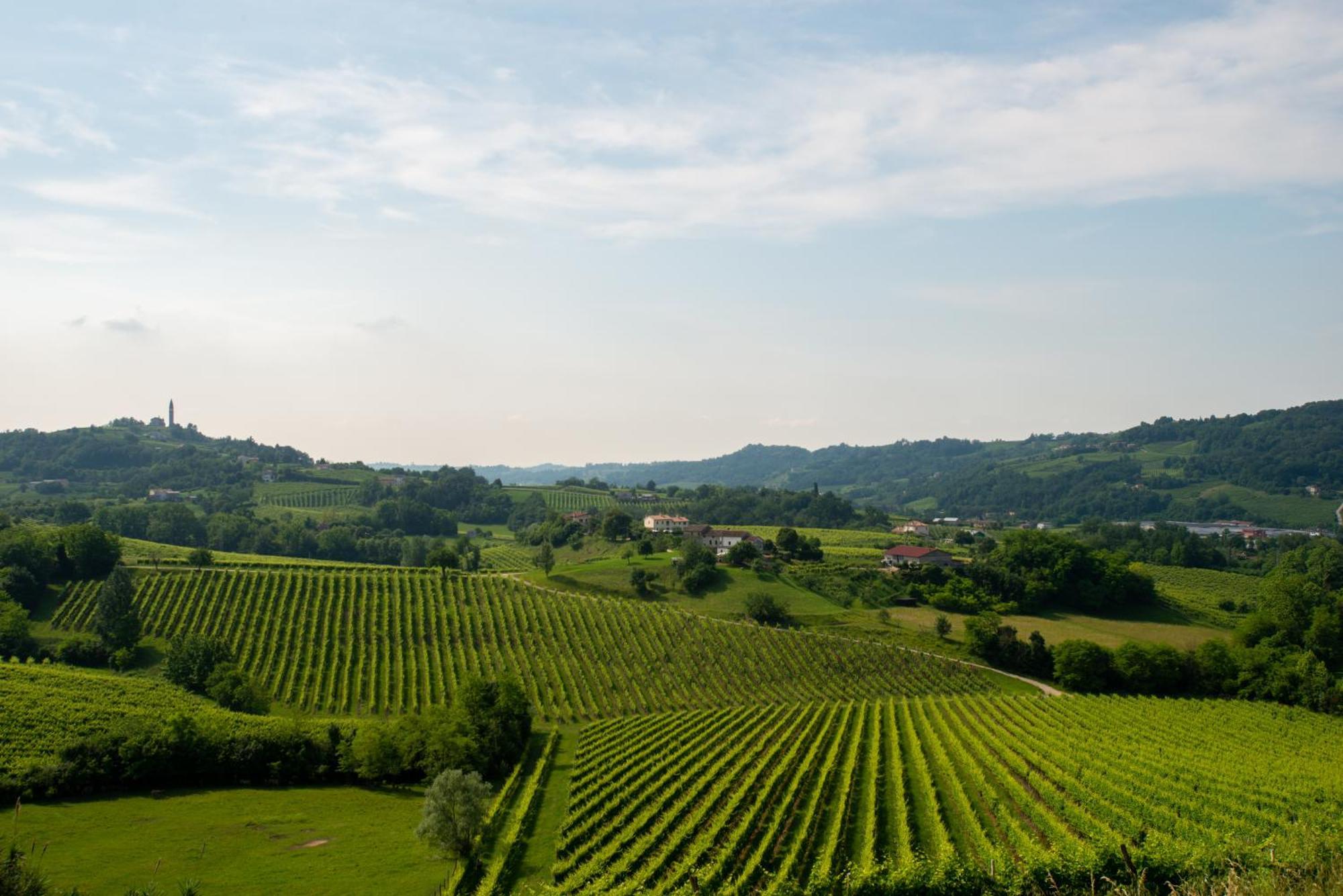 Tenuta Castagnera Villa Tarzo Eksteriør billede