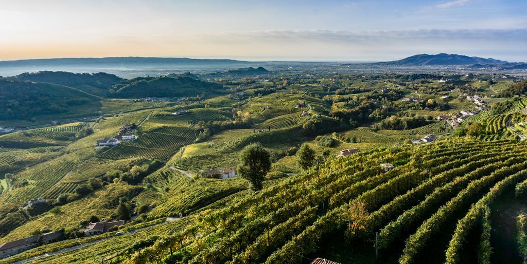 Tenuta Castagnera Villa Tarzo Eksteriør billede