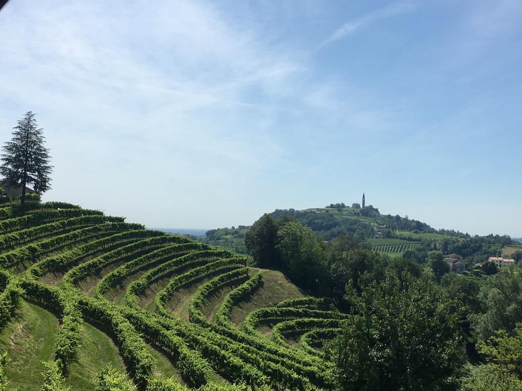 Tenuta Castagnera Villa Tarzo Eksteriør billede